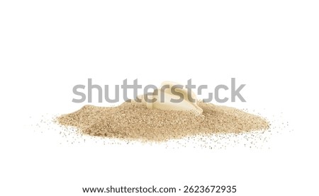 Shells in sand pile isolated. Seashell on sandy beach, ocean dune clams, summer seashore conches on white background, vector illustration