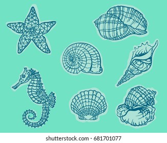 shells, sea horse, starfish set. 
