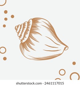 Conchas, conchas de mar, mar naturaleza océano bajo el agua Vector. Ilustración de grabado marino de dibujo a mano de arte de concha sobre fondo blanco