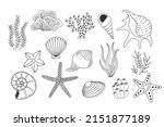 Shells, sea plants and starfish isolated on white background. Coral reef vector illustration. Collection of clam mollusc linear icons. Ocean life outline set 