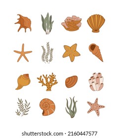 Shells, sea plants and starfish isolated on white background. Coral reef vector illustration. Collection of clam mollusc linear icons. Ocean life in flat style