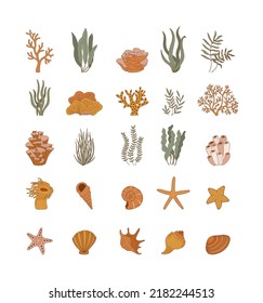 Shells, sea plants and starfish isolated on white background. Coral reef outline vector illustration. Collection of clam mollusc linear icons. Ocean life in flat style