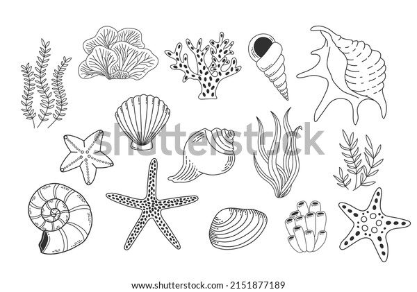 Buy SIMPLY INKED Seashell Temporary Tattoo, Designer Tattoo for all (Seashell  tattoo) Pack of 2 Online at Best Prices in India - JioMart.
