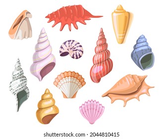 373 Barnacle Fossils Images, Stock Photos & Vectors | Shutterstock