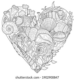 
Shells and seaweed in the shape of a heart.Coloring book antistress for children and adults. Illustration isolated on white background.Zen-tangle style. Black and white drawing