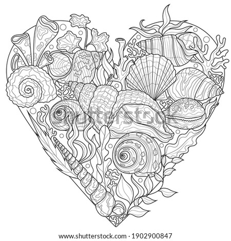 
Shells and seaweed in the shape of a heart.Coloring book antistress for children and adults. Illustration isolated on white background.Zen-tangle style. Black and white drawing