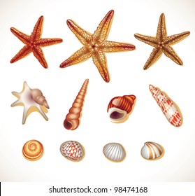 Shells set isolated- vector illustration