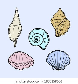 Shells set vector illustration detailed and editable