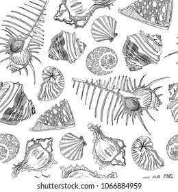 Shells sketch seamless pattern. Hand drawn vector illustration.