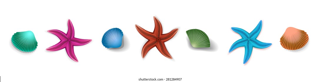 shells and star fish on the white background, sea set, vector