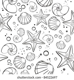 shells and starfish