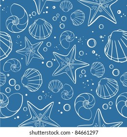 shells and starfish