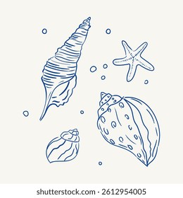 Shells and starfish create a beautiful coastal illustration in blue ink