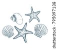 starfish sketch