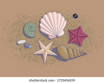 Protege las estrellas de mar y las rocas en la playa