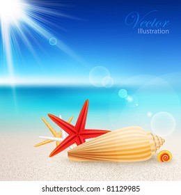 Shells and starfishes on the beach. Vector illustration.