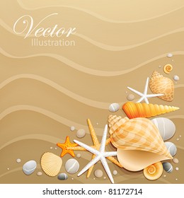 Shells and starfishes on sand background. Vector illustration.