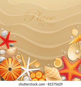 Shells and starfishes on sand background. Vector illustration.