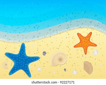 Shells and starfishes on sand background. Vector illustration.