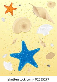Shells and starfishes on sand background. Vector illustration.