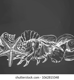 Shells & stones is a set of illustrations drawn by ink and pen. For your design, posters, postcards, invitations, menus, weddings and more. Image on black chalkboard