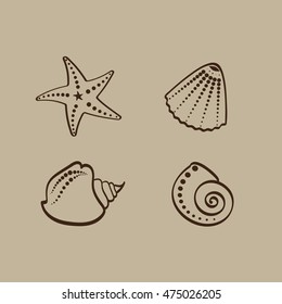 shells summer illustration vector