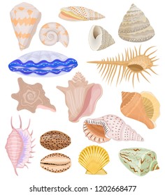 55 Cockell shell Images, Stock Photos & Vectors | Shutterstock