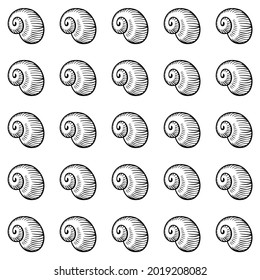 Shells vector pattern. Hand drawing with engraved lines. Collection of realistic sketches of various molluscs sea shells of various shapes.