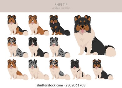 Sheltie, Shetland sheepdog clipart. Postas diferentes, colores de abrigo.  Ilustración del vector