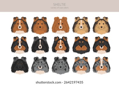 Sheltie, Shetland sheepdog clipart. Different poses, coat colors set.  Vector illustration