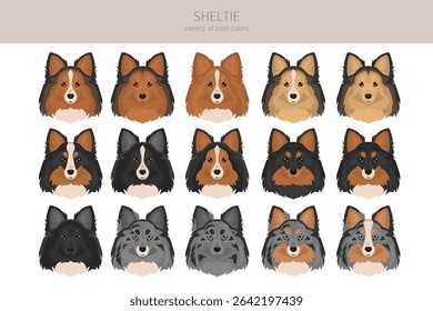 Sheltie, Shetland sheepdog clipart. Different poses, coat colors set.  Vector illustration