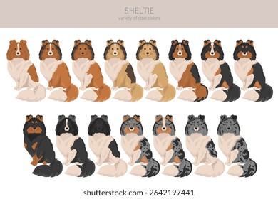 Sheltie, Shetland sheepdog clipart. Different poses, coat colors set.  Vector illustration