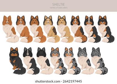Sheltie, Shetland sheepdog clipart. Different poses, coat colors set.  Vector illustration