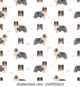 Sheltie, Shetland sheepdog seamless pattern. Different poses, coat colors set.  Vector illustration