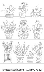 shelves with growing houseplants in flowerpots for your coloring book