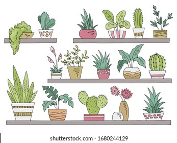 Shelves set graphic color isolated plant pot sketch illustration vector