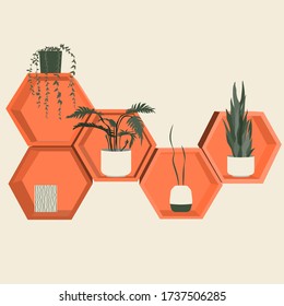 Shelves in the shape of honeycombs hang on the wall. A pot with a plant, hanging branches and leaves. Wall decoration in the interior