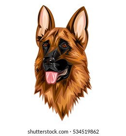 Shepherd