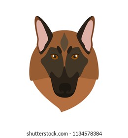 Shepherd breed dog muzzle color vector icon