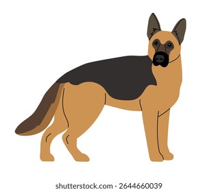 Shepherd breed dog on wite original artwork