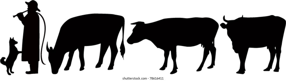 The shepherd with cows it is isolated on a white background
