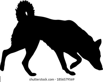 Shepherd dog black silhouette on white background