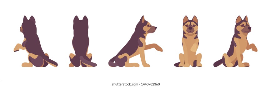 Shepherd dog giving paw and sitting. Working breed, companion for disability assistance, search, rescue, police, military help. Vector flat style cartoon illustration, white background, different view