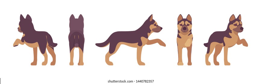 Shepherd dog giving paw. Working breed, family pet, companion for disability assistance, search, rescue, police, military help. Vector flat style cartoon illustration, white background, different view