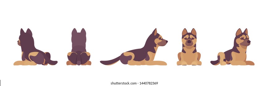 Shepherd dog lying. Working breed, family pet, companion for disability assistance, search, rescue, police and military help. Vector flat style cartoon illustration, white background, different views