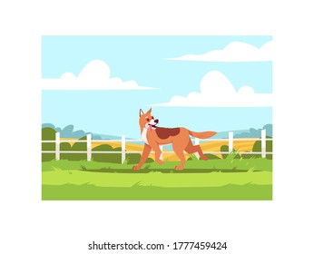 Shepherd dog run outside semi flat vector illustration. Domestic pet outdoors near fence. Hound puppy. Summer vacation on ranch. Doggy on farmland 2D cartoon characters for commercial use