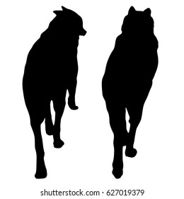 Shepherd dog silhouette on a white background.