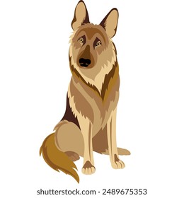 Shepherd dog sits in a relaxed position and looks attentively at the camera. Vector illustration