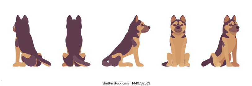 Shepherd dog sitting. Working breed, family pet, companion for disability assistance, search, rescue, police, military help. Vector flat style cartoon illustration, white background, different views