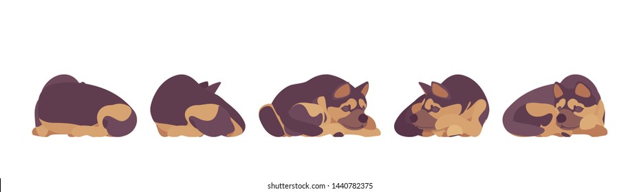 Shepherd dog sleeping. Working breed, family pet, companion for disability assistance, search, rescue, police, military help. Vector flat style cartoon illustration, white background, different views